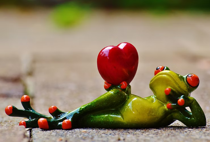 THE SEASON OF LOVE