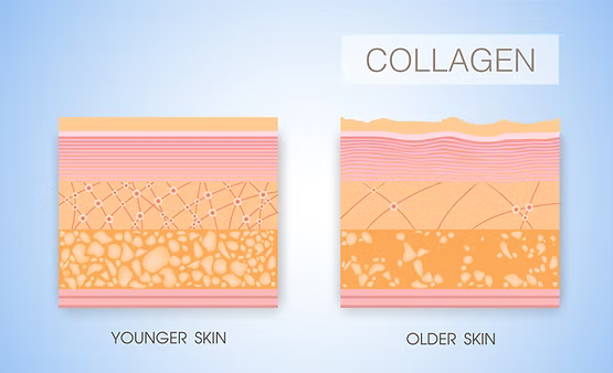 Is Collagen effective in skincare products?